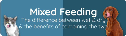 The difference between wet & dry & the benefits of combining the two