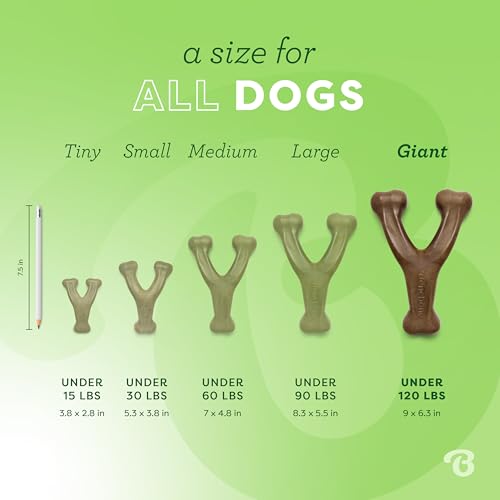Benebone Indestructible Wishbone Dog Chew Toy for Aggressive Chewers, Long Lasting Tough Boredom Breaker for Dogs, Real Bacon Flavour, For Medium Dogs
