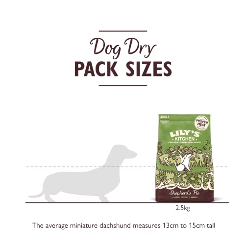 Lily's Kitchen Natural Adult Dry Dog Food Chicken & Duck Grain-Free Recipe
