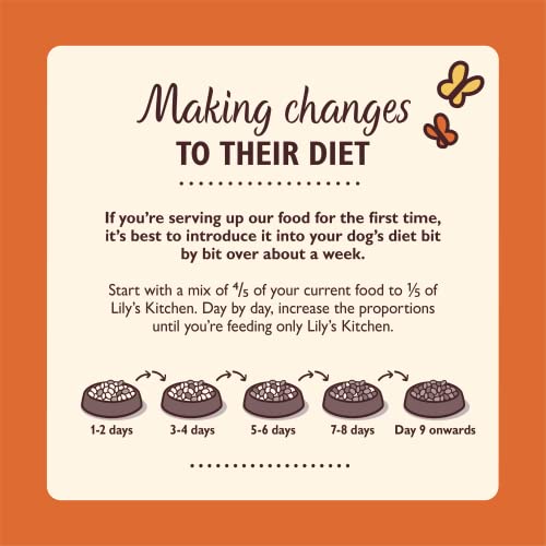 Lily's Kitchen Natural Adult Dry Dog Food Chicken & Duck Grain-Free Recipe