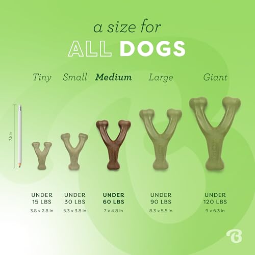 Benebone Indestructible Wishbone Dog Chew Toy for Aggressive Chewers, Long Lasting Tough Boredom Breaker for Dogs, Real Bacon Flavour, For Medium Dogs