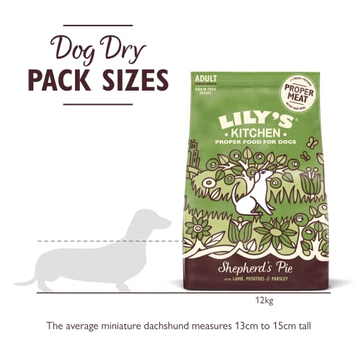 Lily's Kitchen Natural Adult Dry Dog Food Chicken & Duck Grain-Free Recipe