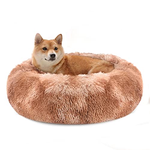 Vanansa Small Cat Bed for Indoor Cats, Self-Warming Donut kitty beds for Small Cats Improving Sleep and Keeping Warm, Washable Pet bed with Anti Slip Base