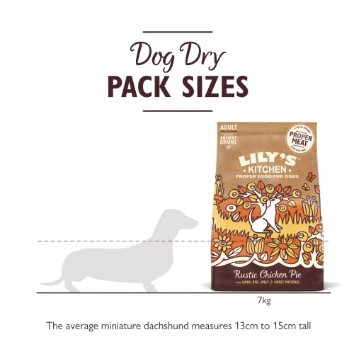Lily's Kitchen Natural Adult Dry Dog Food Chicken & Duck Grain-Free Recipe