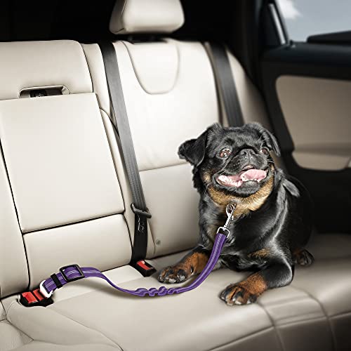 Seat Belt for dogs with Anti shock Bungee Buffer One of Important Car Travel Accessories for Dogs Adjustible, Elastic
