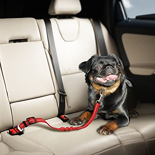Seat Belt for dogs with Anti shock Bungee Buffer One of Important Car Travel Accessories for Dogs Adjustible, Elastic