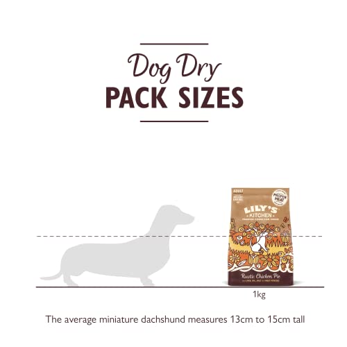 Lily's Kitchen Natural Adult Dry Dog Food Chicken & Duck Grain-Free Recipe