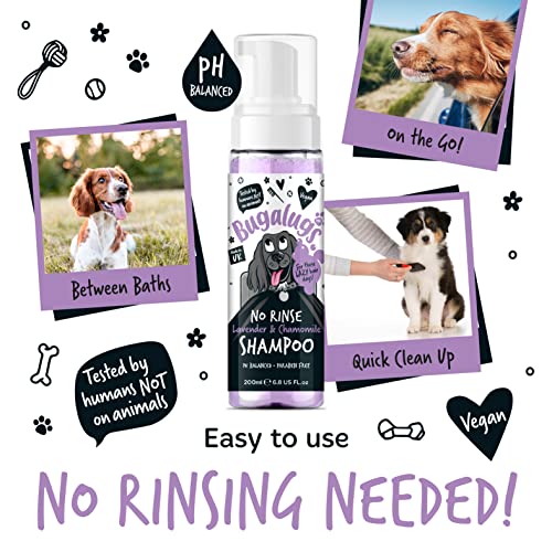 Dog Shampoo by Bugalugs lavender & chamomile 4 in 1 dog grooming shampoo products for smelly dogs with fragrance, best puppy shampoo, professional groom Vegan pet shampoo & conditioner