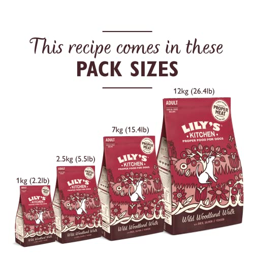 Lily's Kitchen Natural Adult Dry Dog Food Chicken & Duck Grain-Free Recipe