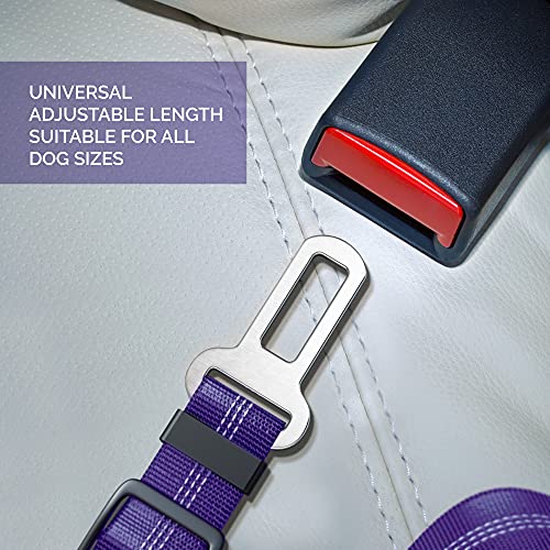 Seat Belt for dogs with Anti shock Bungee Buffer One of Important Car Travel Accessories for Dogs Adjustible, Elastic