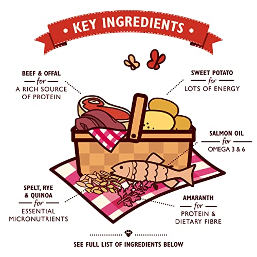 Lily's Kitchen Natural Adult Dry Dog Food Chicken & Duck Grain-Free Recipe