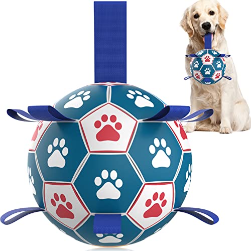 HETOO Dog Toys, Interactive Dog Football Toys with Grab Tabs, Durable Dog Balls for Small Medium Breed Dog Water Toy Indoor & Outdoor, Gift for Dogs