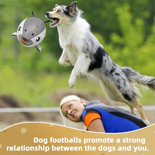 HETOO Dog Toys, Interactive Dog Football Toys with Grab Tabs, Durable Dog Balls for Small Medium Breed Dog Water Toy Indoor & Outdoor, Gift for Dogs
