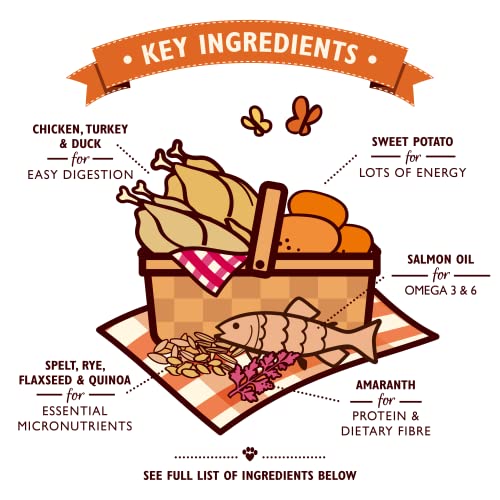 Lily's Kitchen Natural Adult Dry Dog Food Chicken & Duck Grain-Free Recipe