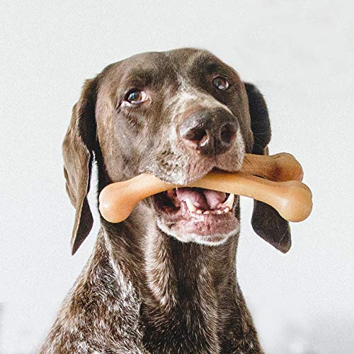 Benebone Indestructible Wishbone Dog Chew Toy for Aggressive Chewers, Long Lasting Tough Boredom Breaker for Dogs, Real Bacon Flavour, For Medium Dogs