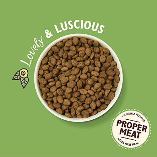 Lily's Kitchen Natural Adult Dry Dog Food Chicken & Duck Grain-Free Recipe