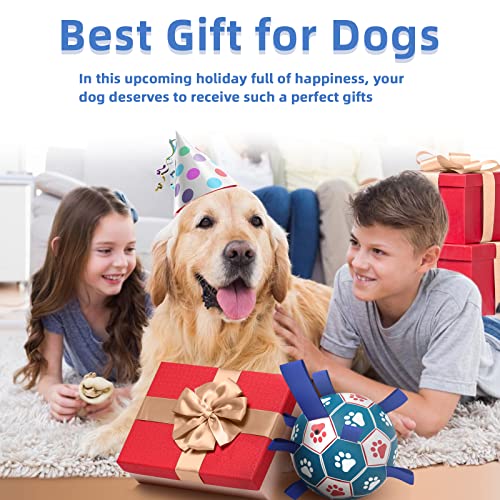 HETOO Dog Toys, Interactive Dog Football Toys with Grab Tabs, Durable Dog Balls for Small Medium Breed Dog Water Toy Indoor & Outdoor, Gift for Dogs