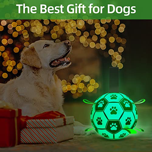 HETOO Dog Toys, Interactive Dog Football Toys with Grab Tabs, Durable Dog Balls for Small Medium Breed Dog Water Toy Indoor & Outdoor, Gift for Dogs