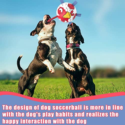 HETOO Dog Toys, Interactive Dog Football Toys with Grab Tabs, Durable Dog Balls for Small Medium Breed Dog Water Toy Indoor & Outdoor, Gift for Dogs