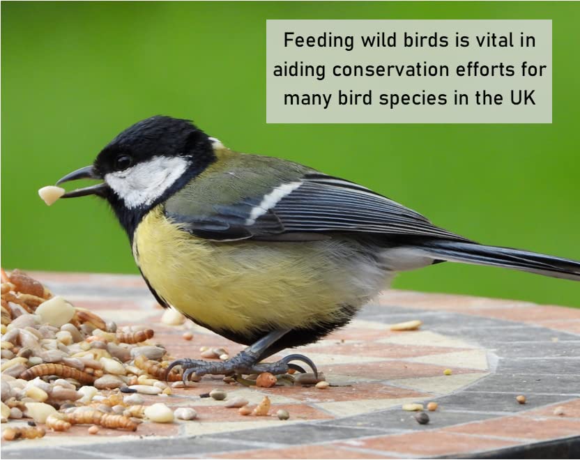 No Wheat Mixture 15kg Premium Wild Bird Food Garden Seed Feed