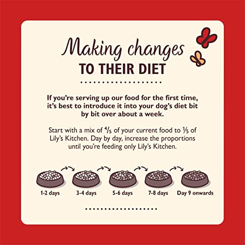 Lily's Kitchen Natural Adult Dry Dog Food Chicken & Duck Grain-Free Recipe