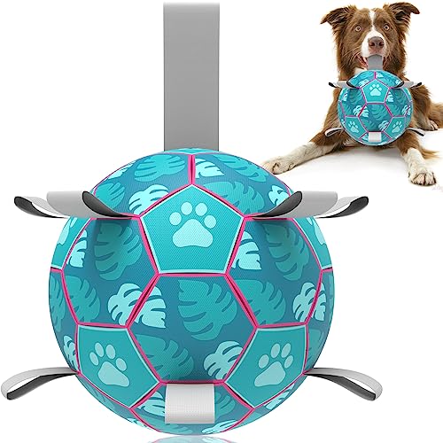 HETOO Dog Toys, Interactive Dog Football Toys with Grab Tabs, Durable Dog Balls for Small Medium Breed Dog Water Toy Indoor & Outdoor, Gift for Dogs