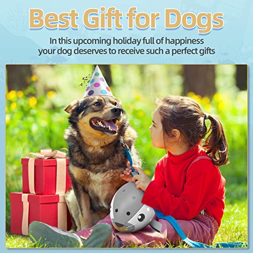 HETOO Dog Toys, Interactive Dog Football Toys with Grab Tabs, Durable Dog Balls for Small Medium Breed Dog Water Toy Indoor & Outdoor, Gift for Dogs