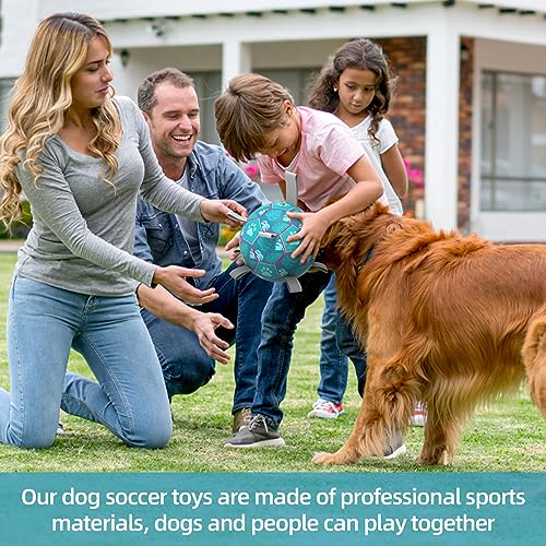 HETOO Dog Toys, Interactive Dog Football Toys with Grab Tabs, Durable Dog Balls for Small Medium Breed Dog Water Toy Indoor & Outdoor, Gift for Dogs