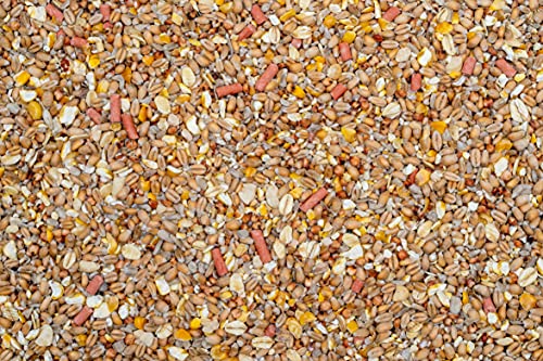 Johnston & Jeff Wild Bird Food