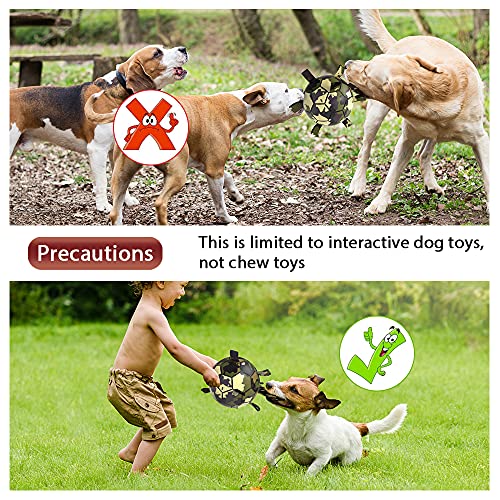 HETOO Dog Toys, Interactive Dog Football Toys with Grab Tabs, Durable Dog Balls for Small Medium Breed Dog Water Toy Indoor & Outdoor, Gift for Dogs