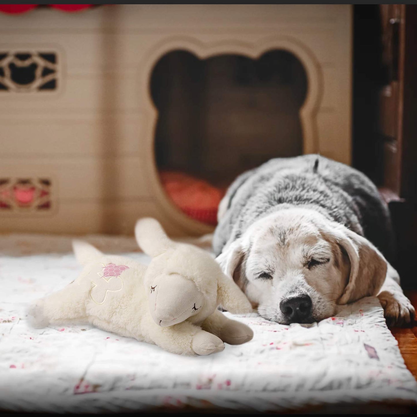 ALL FOR PAWS Heartbeat Dog Toy for Puppy,Snuggle Dog Behavioral Sleep Aid Puppy Toys, Pacifier Calming Behavioral Aid Plush Toy for Dogs