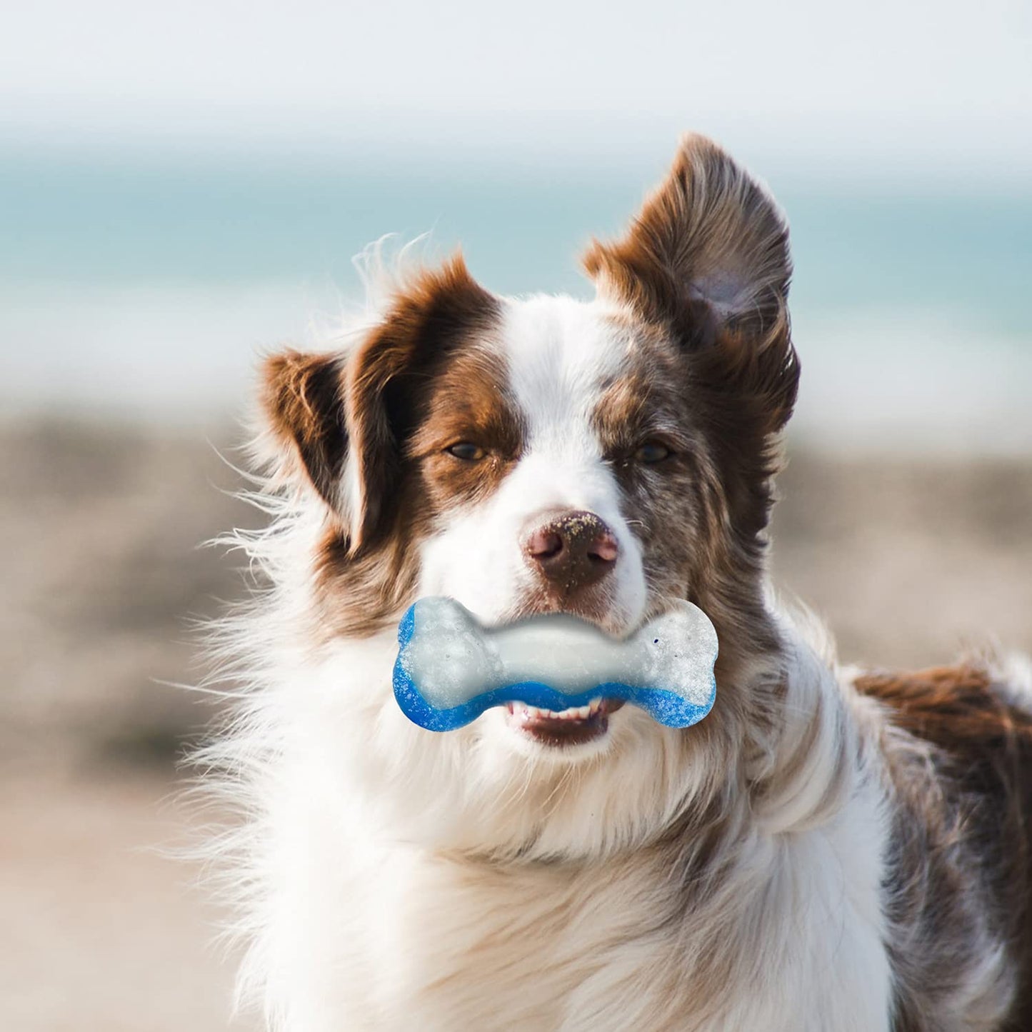 ALL FOR PAWS Heartbeat Dog Toy for Puppy,Snuggle Dog Behavioral Sleep Aid Puppy Toys, Pacifier Calming Behavioral Aid Plush Toy for Dogs