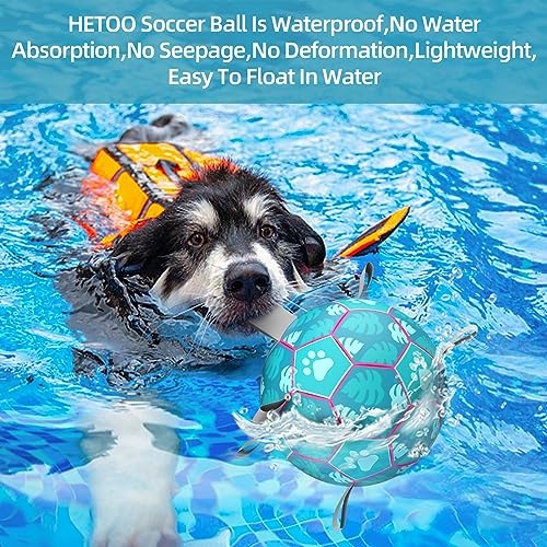 HETOO Dog Toys, Interactive Dog Football Toys with Grab Tabs, Durable Dog Balls for Small Medium Breed Dog Water Toy Indoor & Outdoor, Gift for Dogs