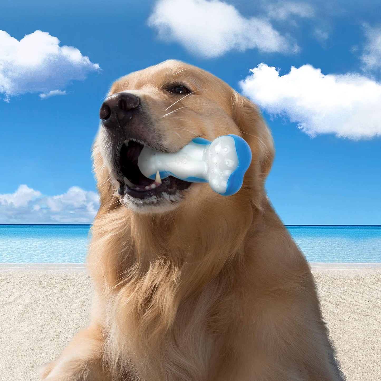 ALL FOR PAWS Heartbeat Dog Toy for Puppy,Snuggle Dog Behavioral Sleep Aid Puppy Toys, Pacifier Calming Behavioral Aid Plush Toy for Dogs