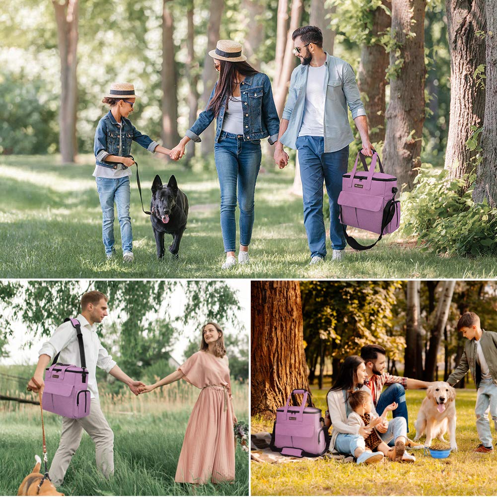 MODOKER Airline Approved Pet Travel Bag, Weekend Travel Set for Dog and Cat, Tote Organizer with Multi-Function Pockets