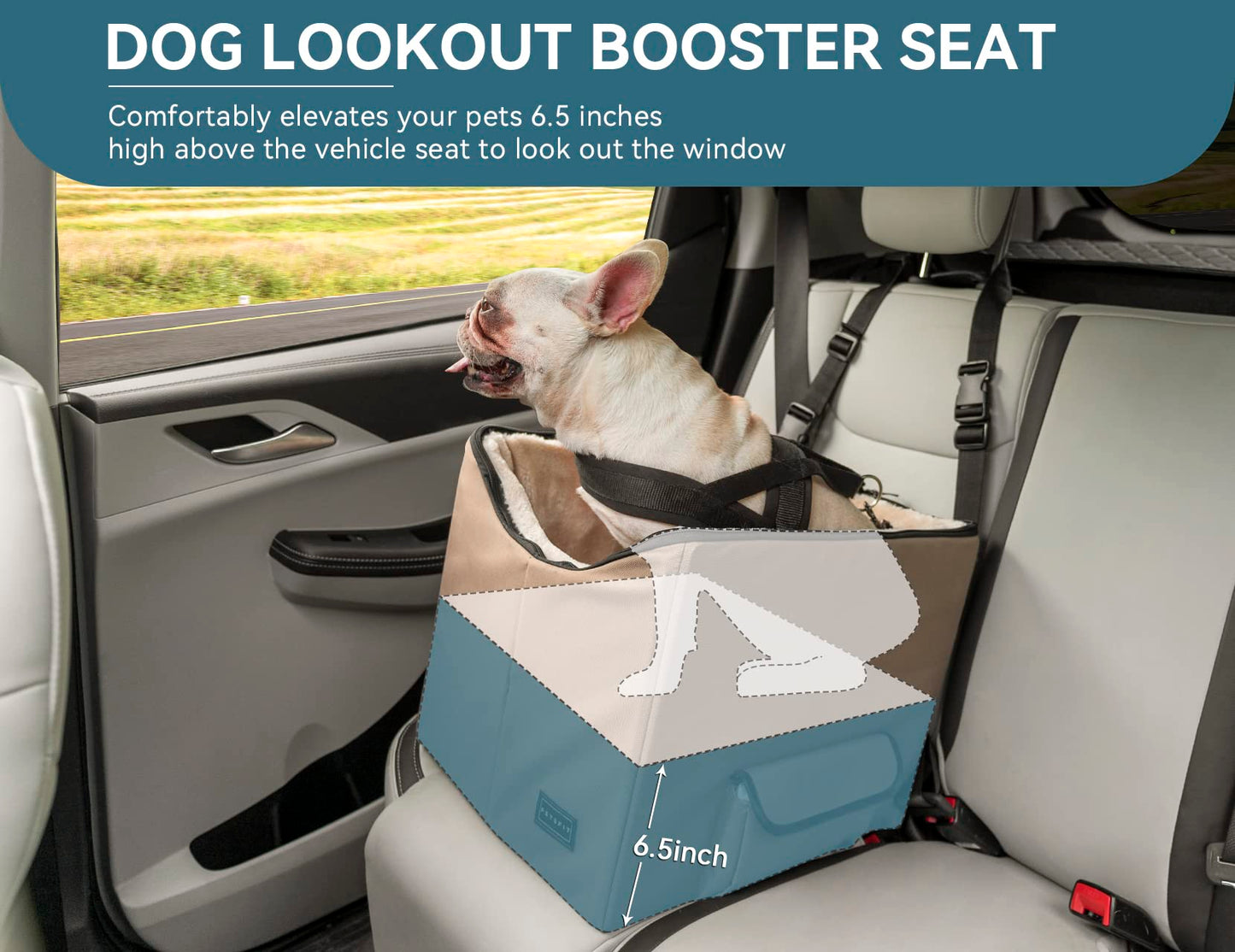 Petsfit Dog Car Seat, Upgraded Dog Booster Seat for Medium Dogs or 2 Small Dogs, Pet Travel Car Booster Seat for Front and Back Seats with Washable Double-Sided Cushion and 2 Safety Leashes