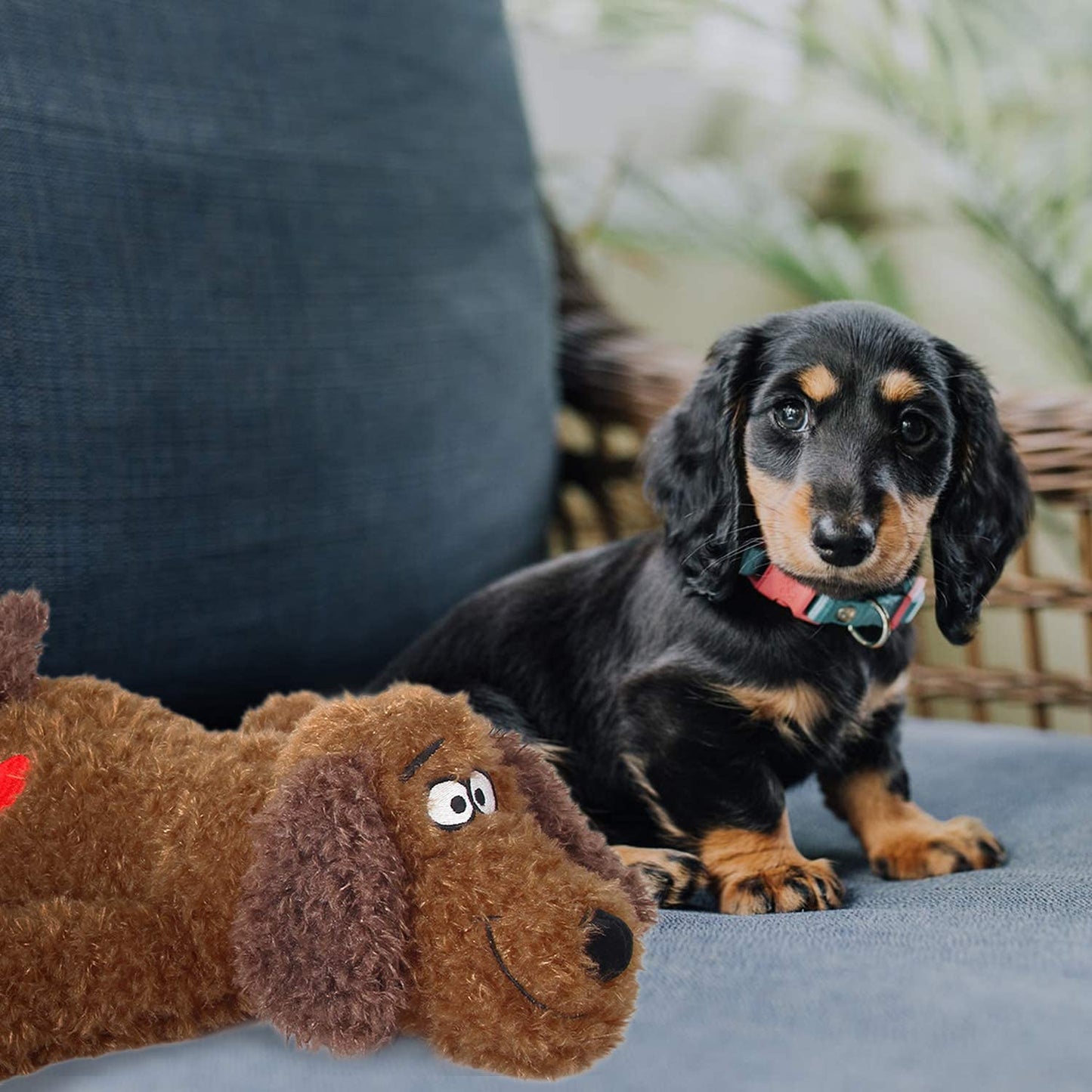ALL FOR PAWS Little Buddy Heart Beat Sheep, Puppy Toy With Heartbeat Dog Training Toy For Separation Anxiety Relief Behavioral Aid For Pets