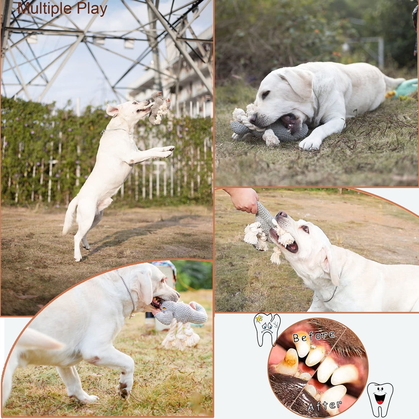 ROSAUI Dog Toys, 2PCS Plush Squeaky Cockatoo Dog Toy - Interactive and Dental Cleaning Pet Chew Toy for All Breed Sizes Dog