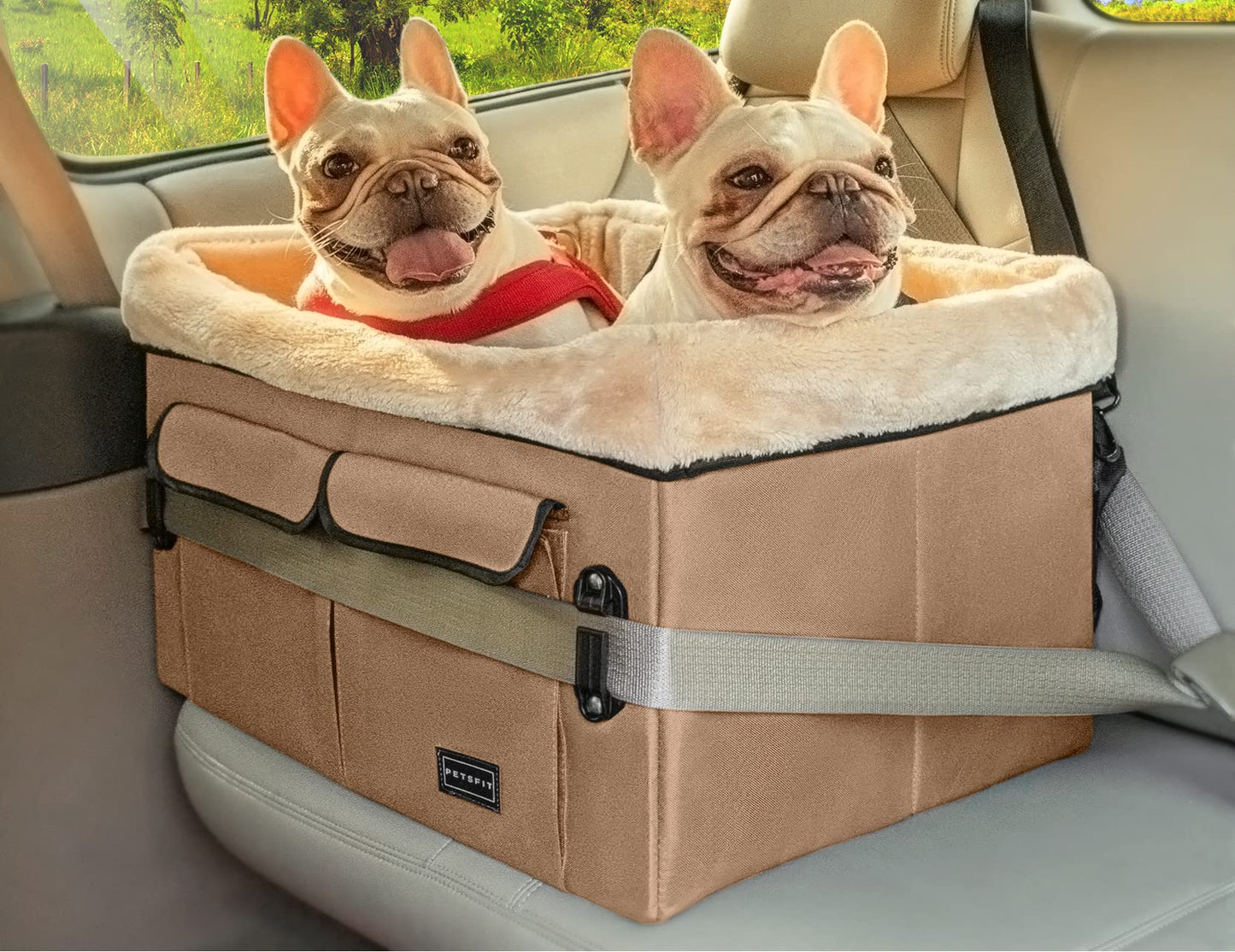 Petsfit Dog Car Seat, Upgraded Dog Booster Seat for Medium Dogs or 2 Small Dogs, Pet Travel Car Booster Seat for Front and Back Seats with Washable Double-Sided Cushion and 2 Safety Leashes