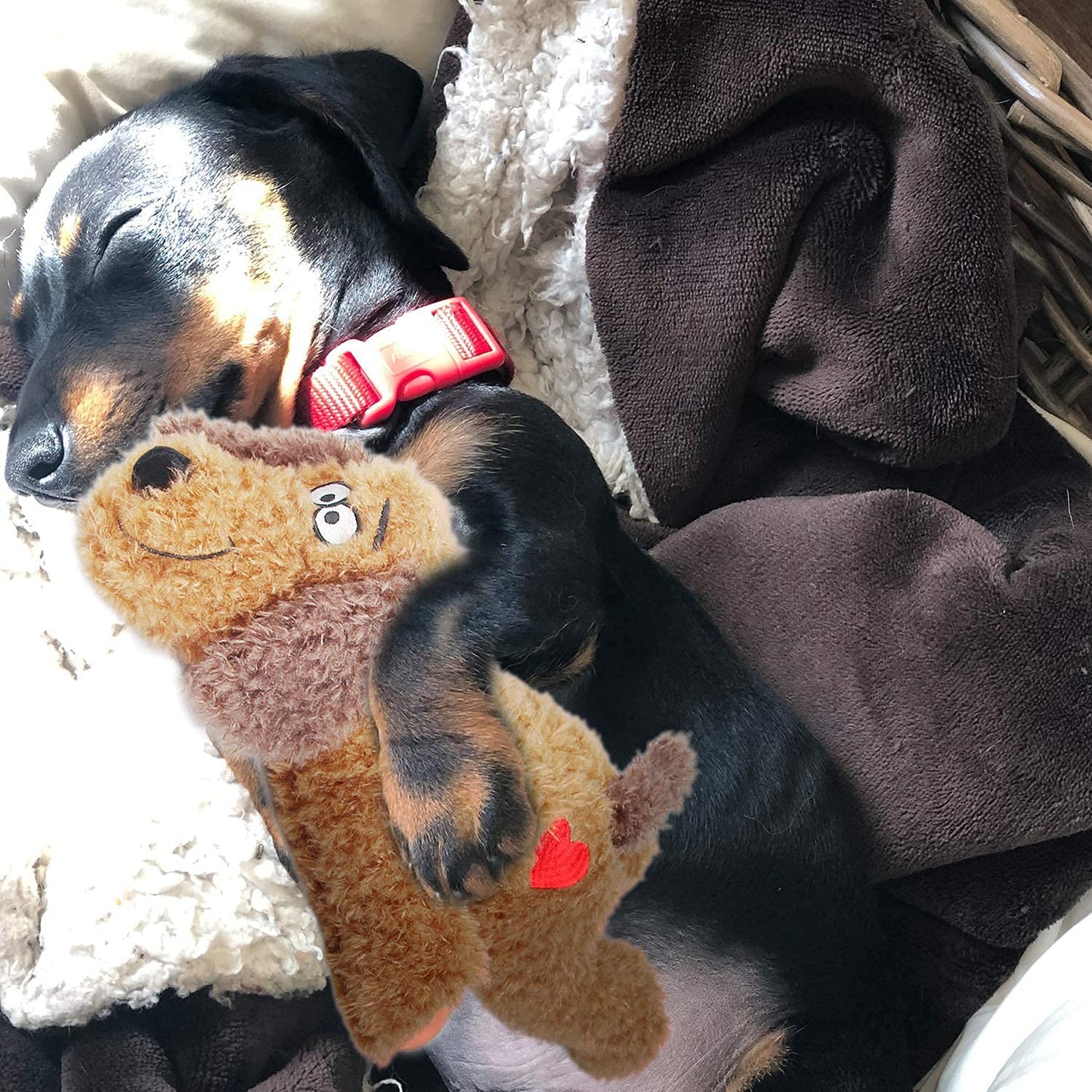 ALL FOR PAWS Little Buddy Heart Beat Sheep, Puppy Toy With Heartbeat Dog Training Toy For Separation Anxiety Relief Behavioral Aid For Pets