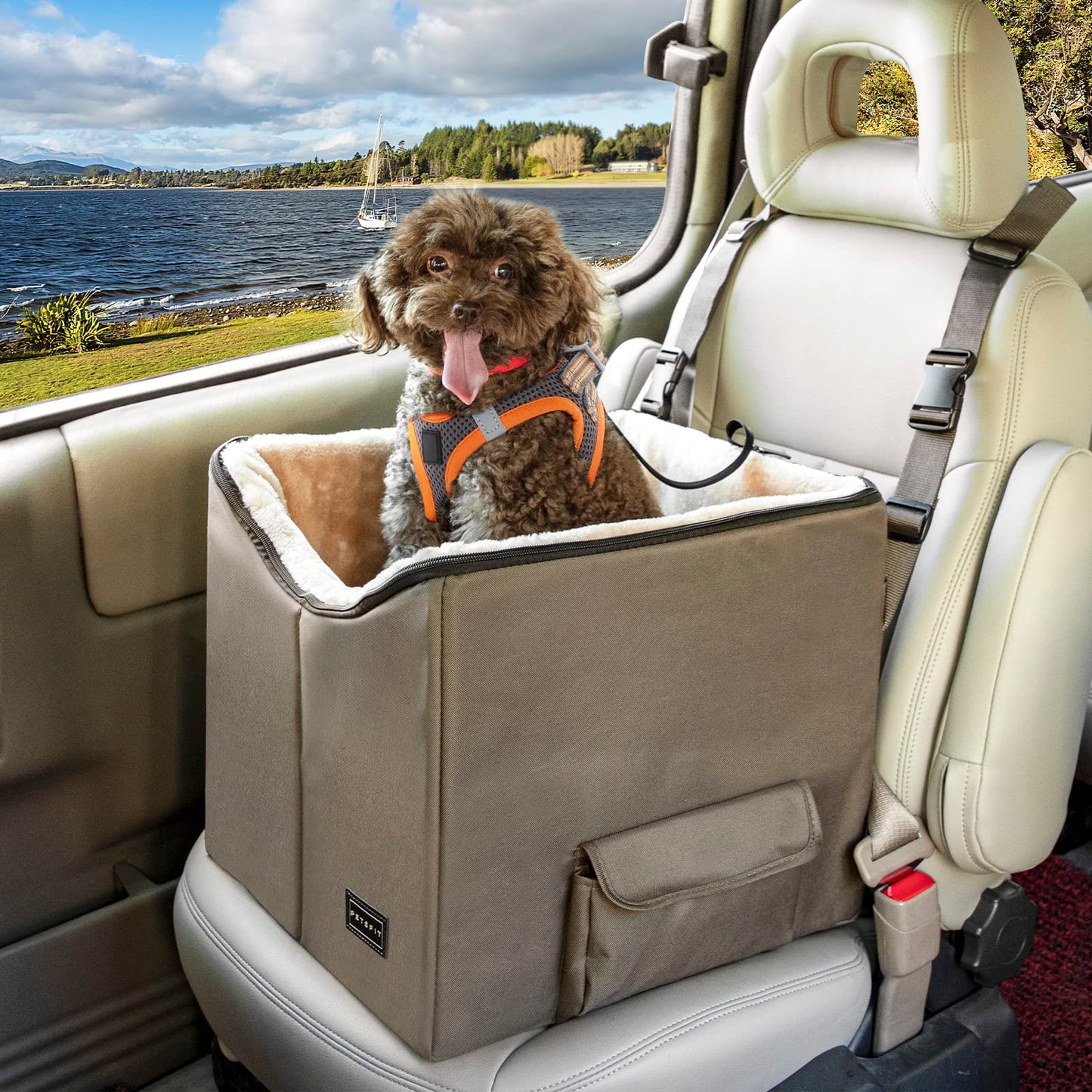 Petsfit Dog Car Seat, Upgraded Dog Booster Seat for Medium Dogs or 2 Small Dogs, Pet Travel Car Booster Seat for Front and Back Seats with Washable Double-Sided Cushion and 2 Safety Leashes
