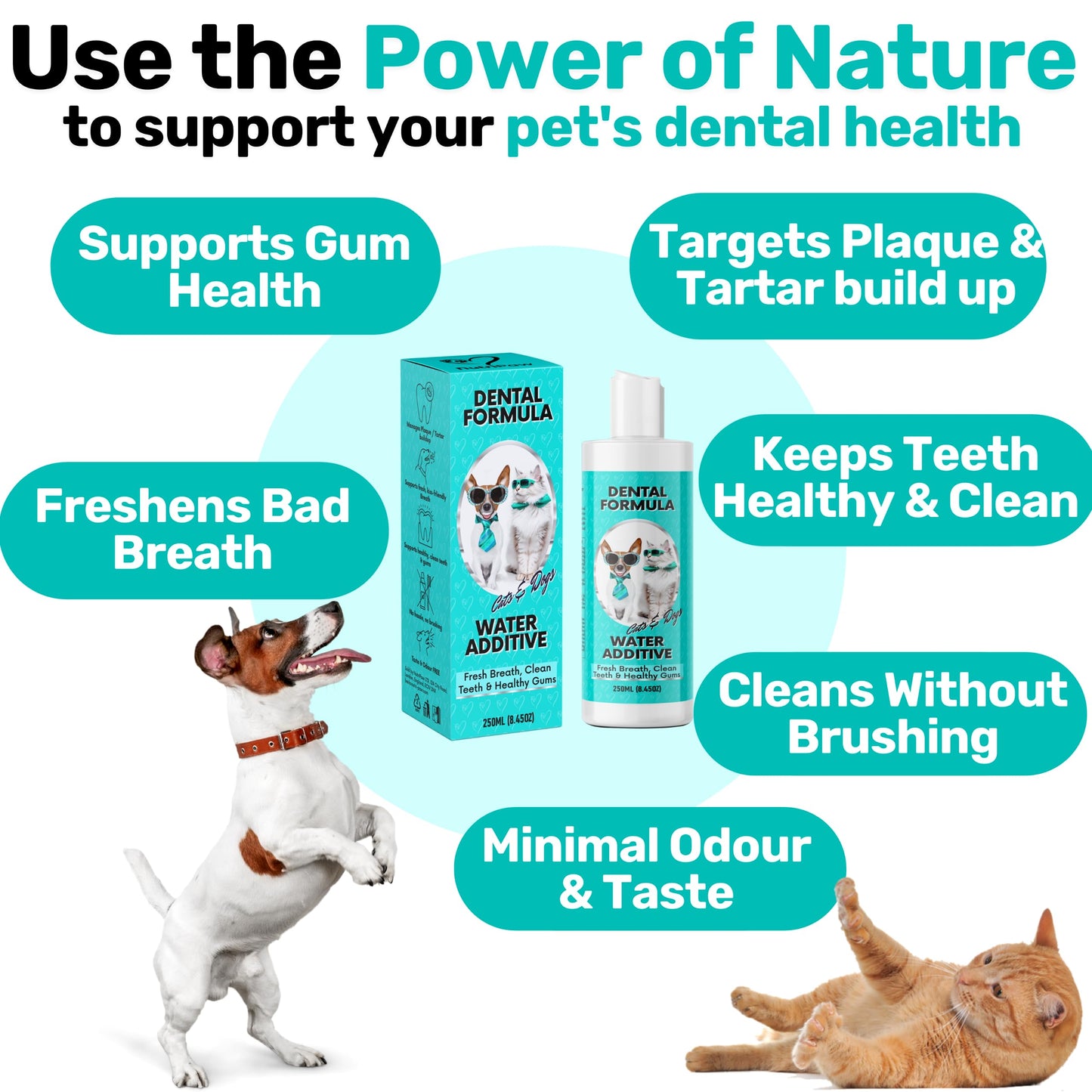 NutriPaw Dental Formula Water Additive For Dogs & Cats - Clean Teeth, Healthy Gums & Fresh Breath - Manage Plaque & Tartar Build-Up - Fuss-Free - No Brushing Needed - Cat/Dog Mouthwash & Oral Health