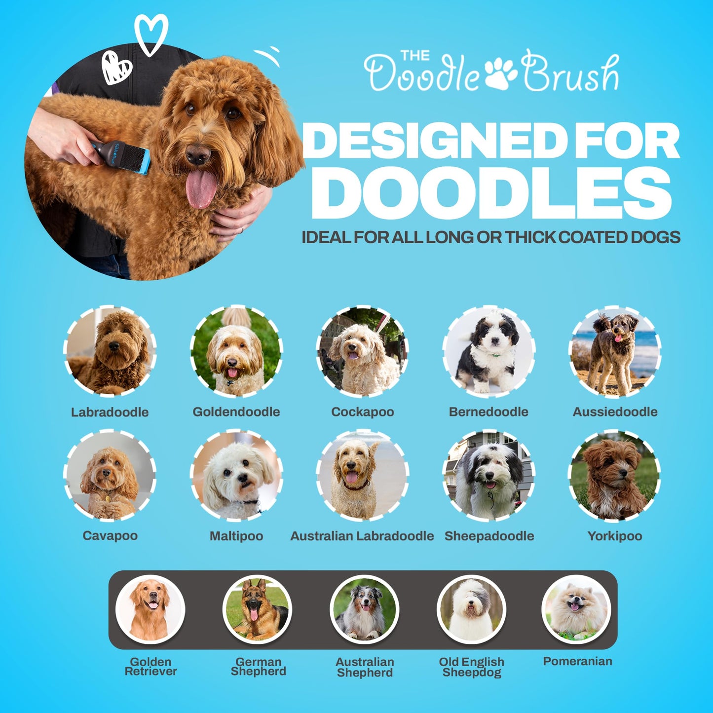 The Doodle Brush - Slicker Dog Brush, Slicker Brush Dog, Dog Brush For Cockapoo, Goldendoodle, Poodle Dog Brush, Dog Detangler Brush, Dog Slicker Brush, Dog Brush For Long Haired Dogs (Single Head)