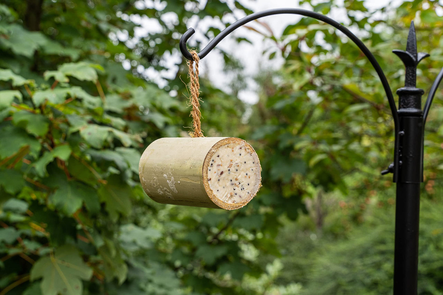 Gardman A04321 Suet Bird Food