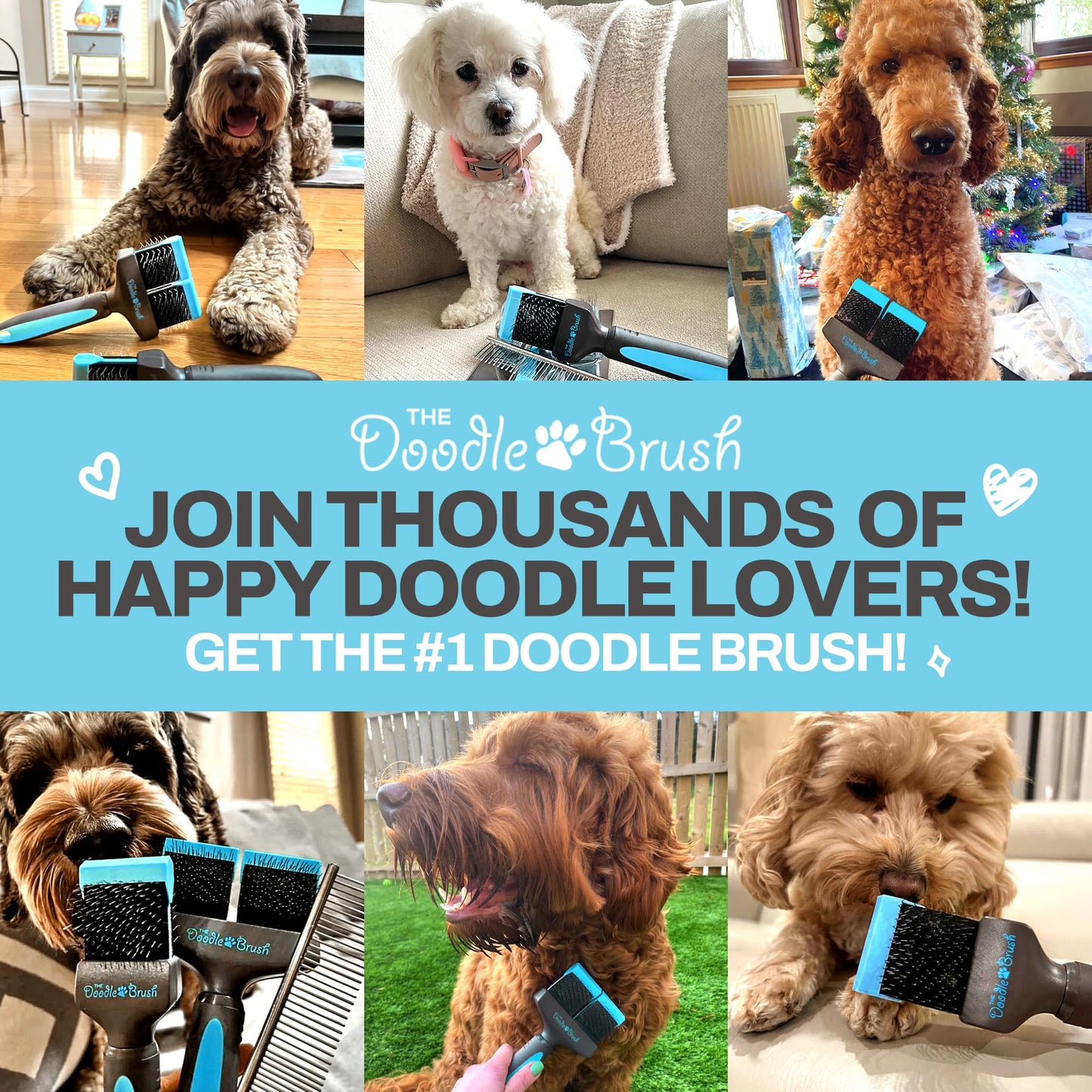 The Doodle Brush - Slicker Dog Brush, Slicker Brush Dog, Dog Brush For Cockapoo, Goldendoodle, Poodle Dog Brush, Dog Detangler Brush, Dog Slicker Brush, Dog Brush For Long Haired Dogs (Single Head)