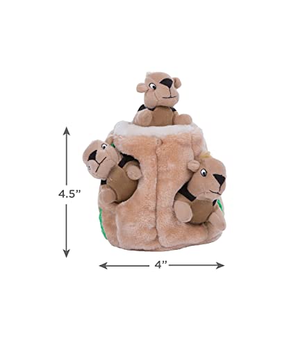 Outward Hound Hide A Squirrel Plush Dog Toy Puzzle