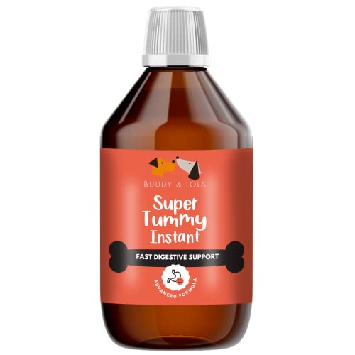 Buddy & Lola Fast-Acting Dog Diarrhea Treatment with Electrolytes - 20 Servings - Tummy Settler For Dogs All Breeds, Sizes and Ages - Syringe Included