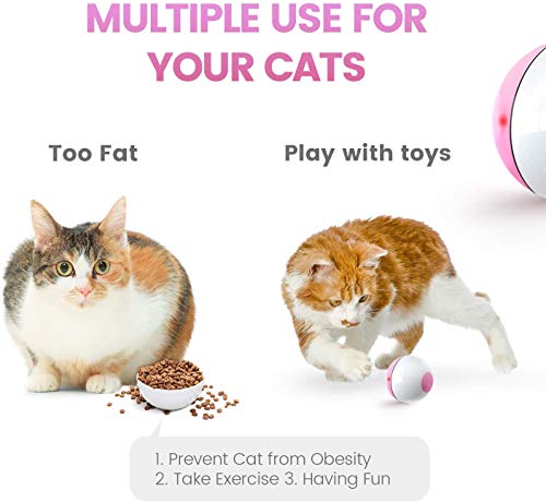 Iokheira Interactive Cat Toys Ball (4th Gen) Wicked Ball for Indoor Cats Adult, Auto 360° Self-Rotating & USB Rechargeable with LED Red Light Toy for Cat Kitten