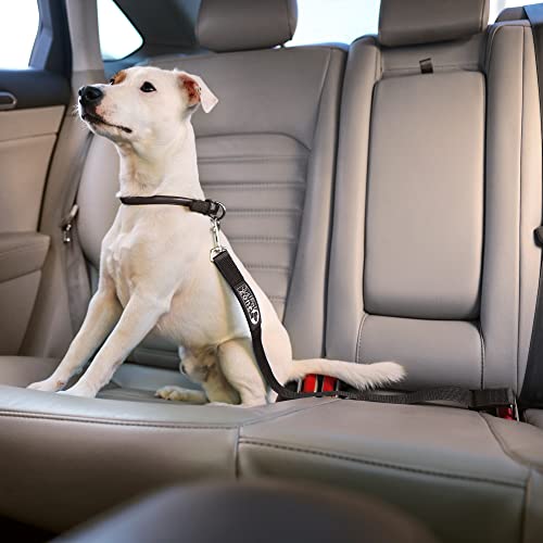 Adjustable Dog Safety Belt for Car-Dog Seat Belt for Car -Dog Car Harness | Pet Travel Accessories
