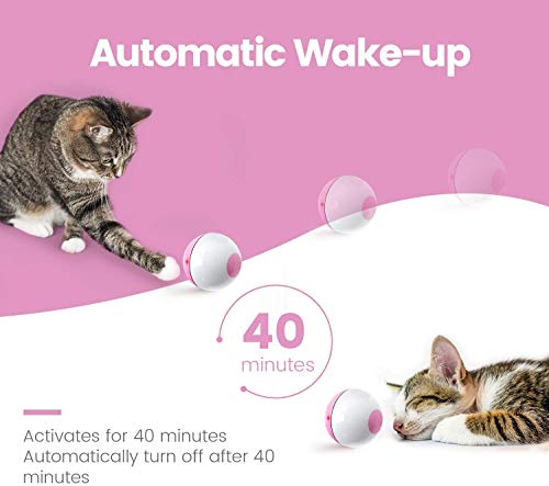 Iokheira Interactive Cat Toys Ball (4th Gen) Wicked Ball for Indoor Cats Adult, Auto 360° Self-Rotating & USB Rechargeable with LED Red Light Toy for Cat Kitten